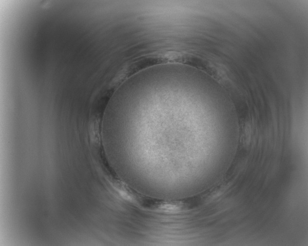 X0000069840236200605261915