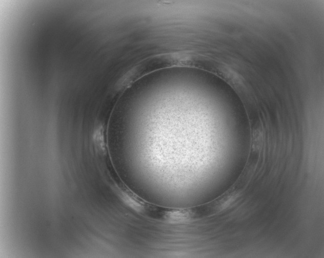 X0000069840238200605261915