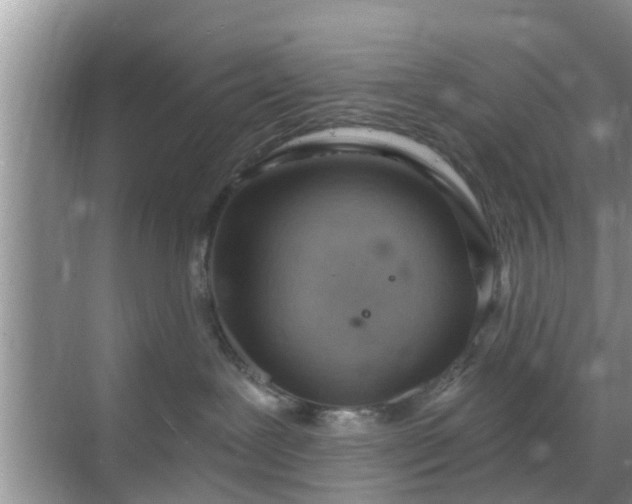 X0000069840239200605261915