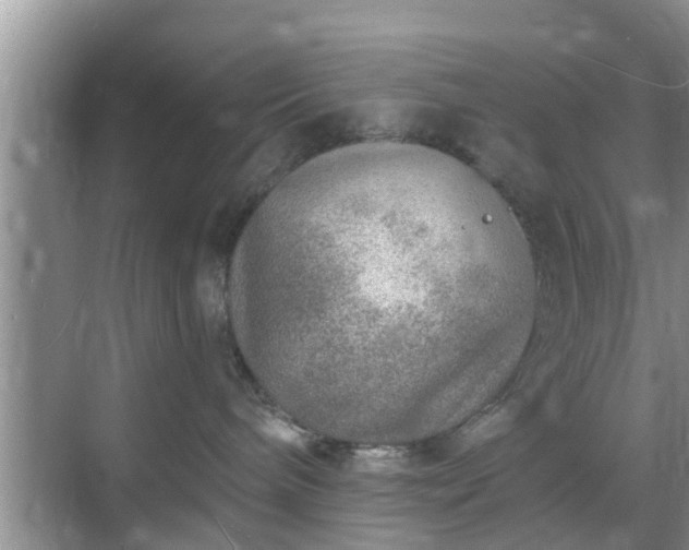 X0000069840240200605261915