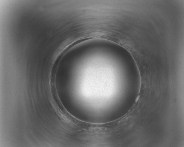 X0000069840242200605261914