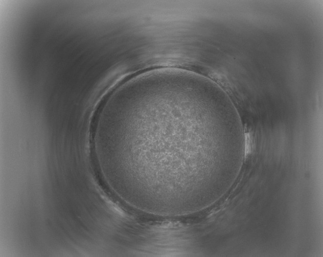 X0000069840243200605261914