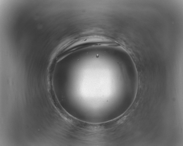 X0000069840245200605261914