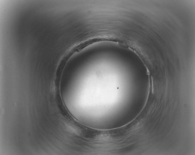 X0000069840252200605261914