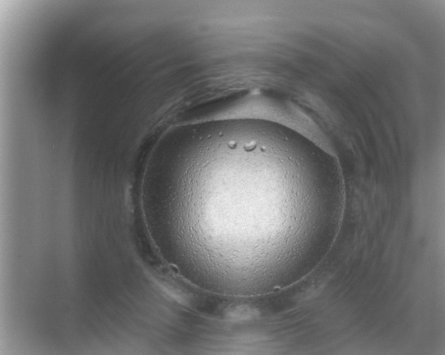 X0000069840258200605261914