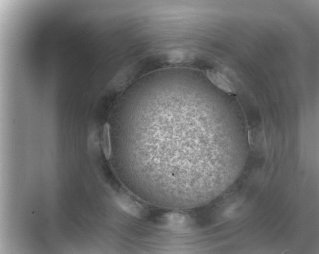 X0000069840272200605261914