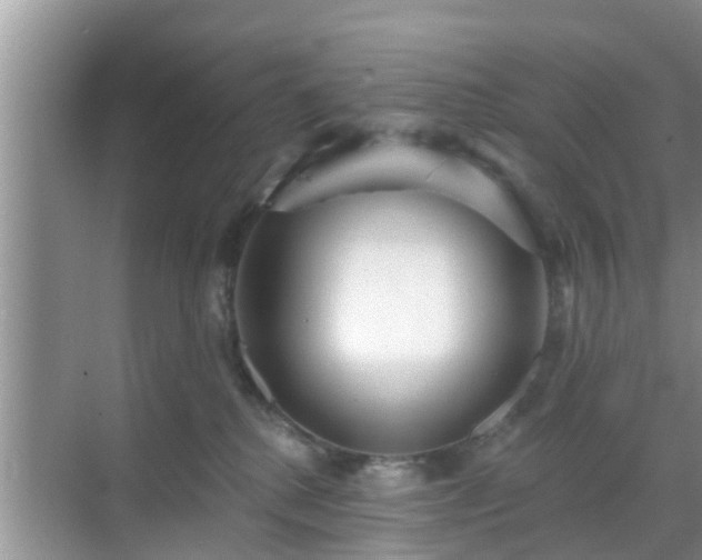 X0000069840280200605261915