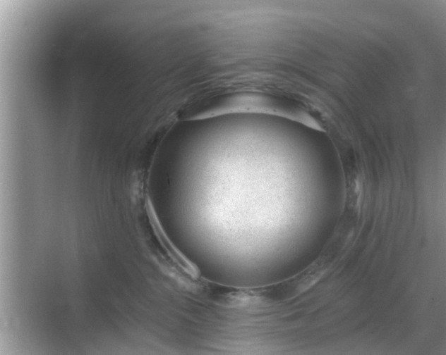 X0000069840284200605261915