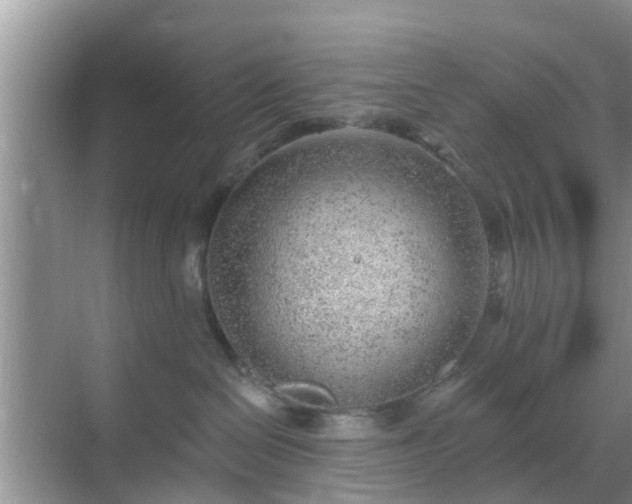 X0000069840286200605261915