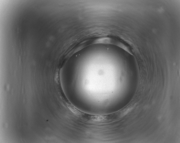 X0000069840288200605261915