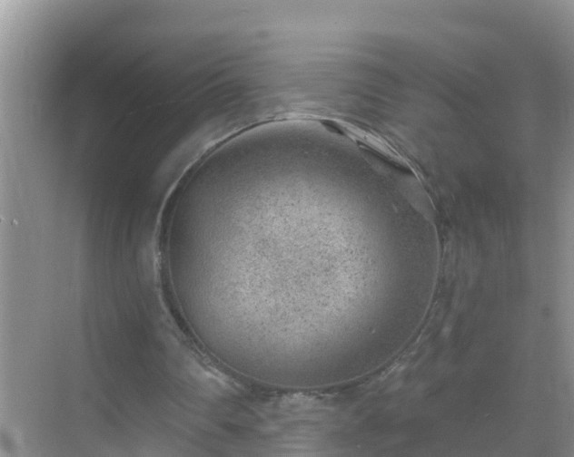 X0000069840290200605261914