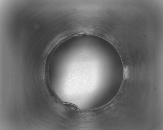 X0000069840291200605261914