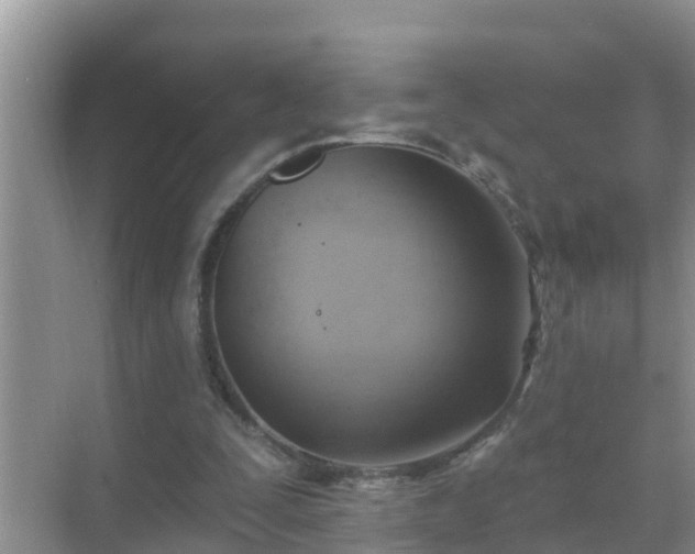 X0000069840295200605261914