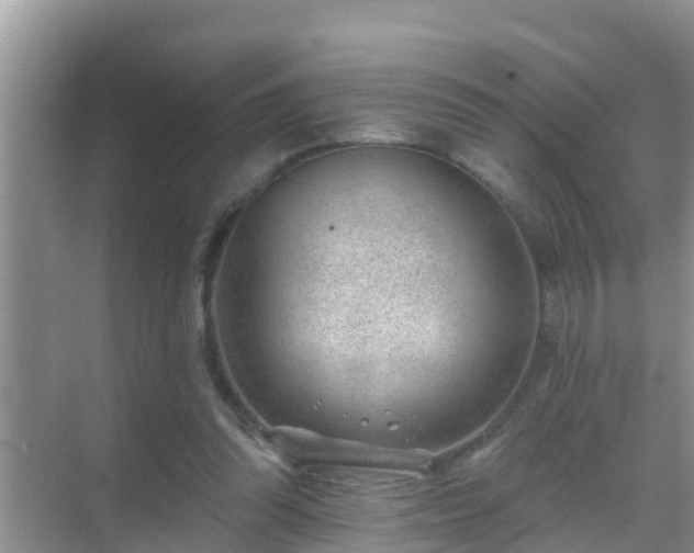 X0000069840302200605261914