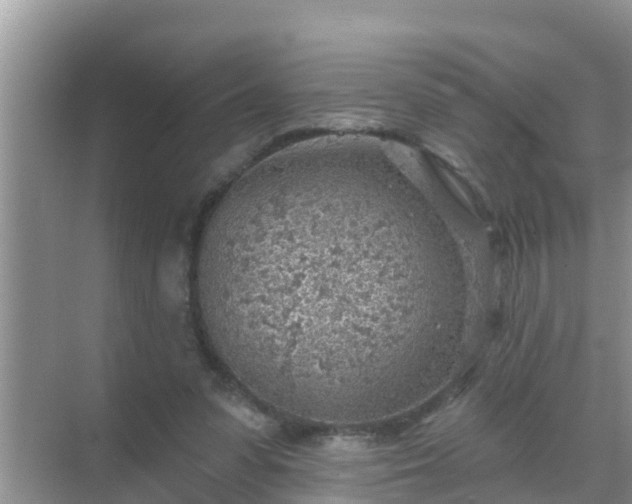 X0000069840303200605261914