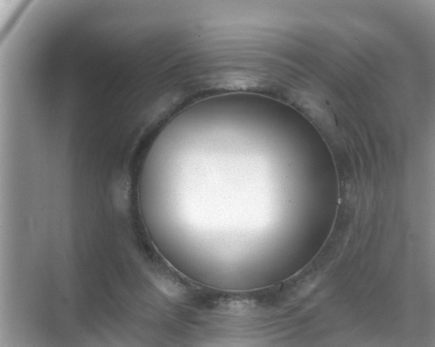 X0000069840304200605261914