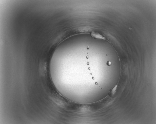 X0000069840308200605261914