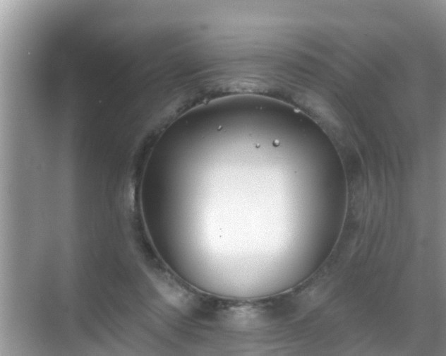 X0000069840310200605261913