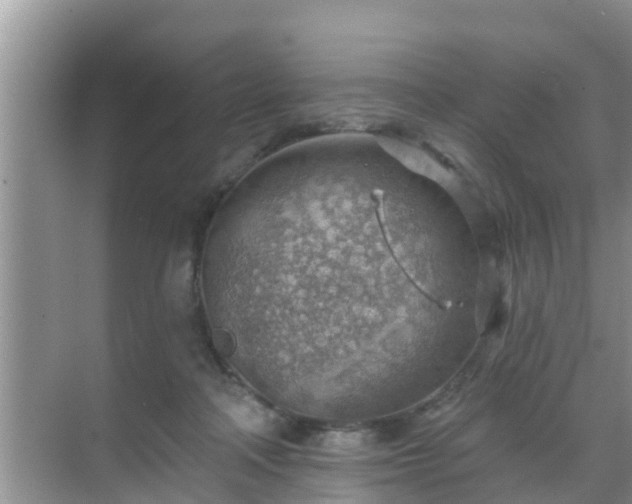 X0000069840314200605261913