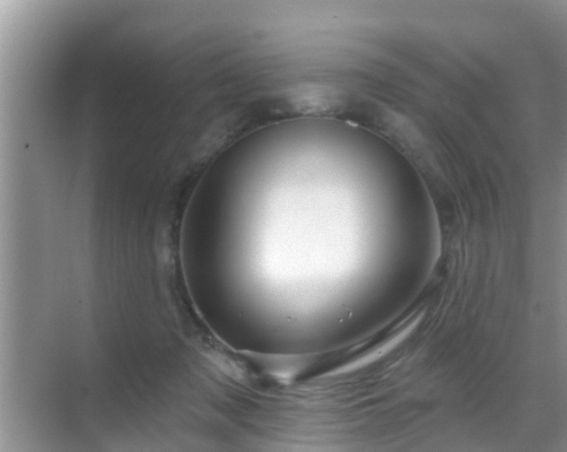 X0000069840317200605261913