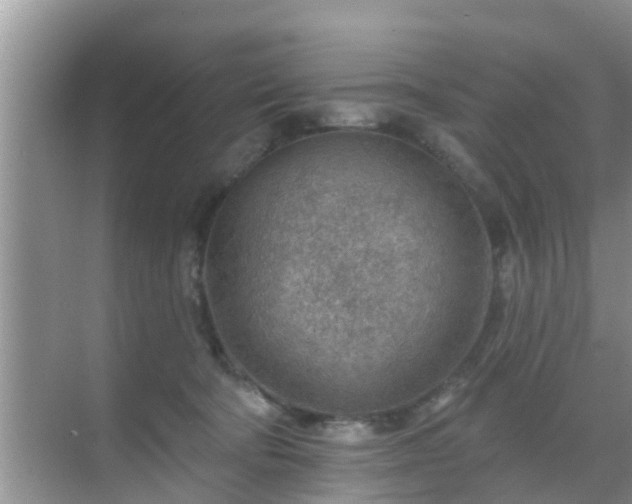 X0000069840322200605261913