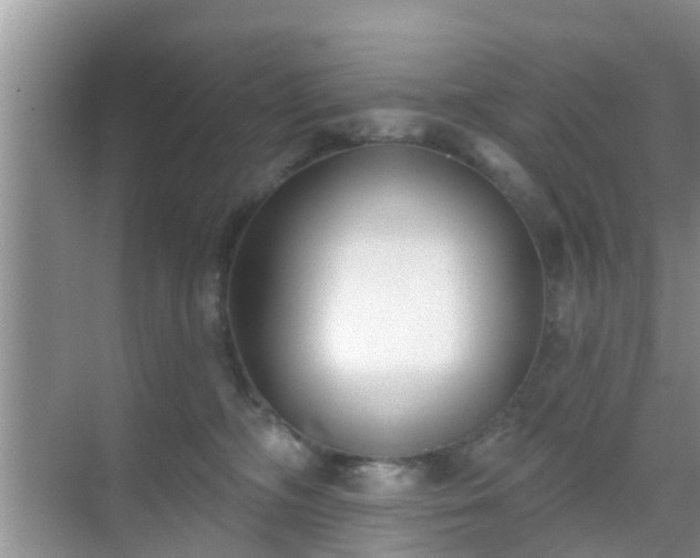 X0000069840326200605261913