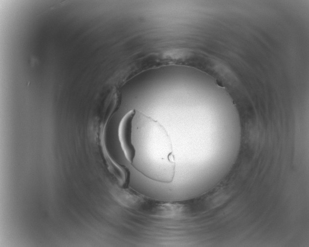 X0000069840328200605261913