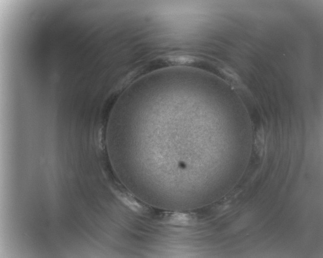 X0000069840330200605261913