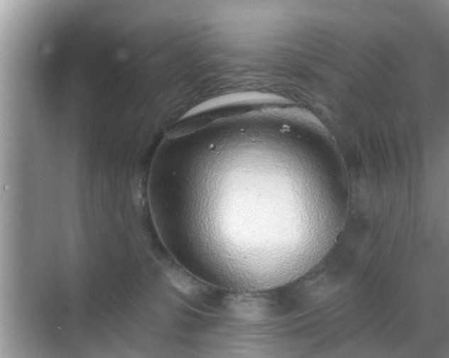 X0000069840331200605261913