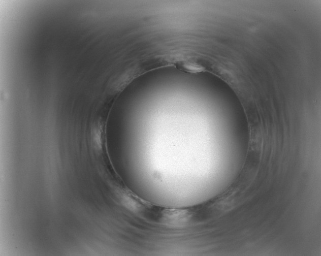 X0000069840334200605261913