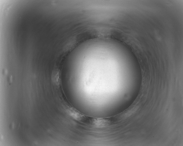 X0000069840336200605261913