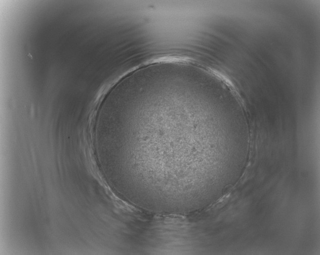 X0000069840337200605261912