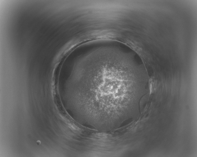 X0000069840339200605261912