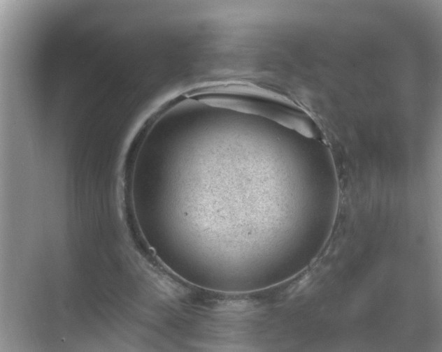 X0000069840342200605261912