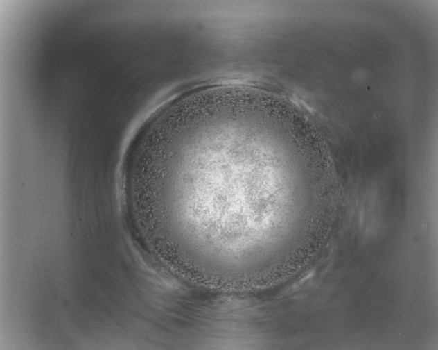 X0000069840343200605261912