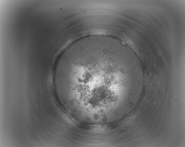 X0000069840347200605261912