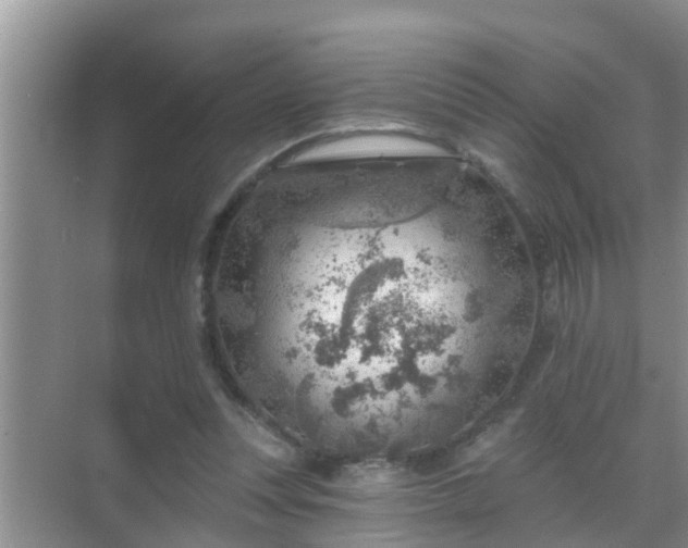 X0000069840351200605261912