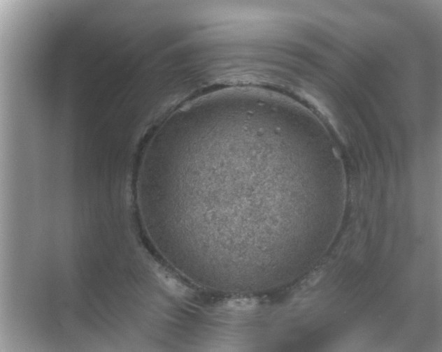 X0000069840353200605261913