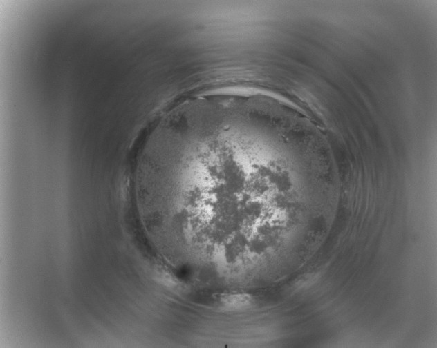 X0000069840355200605261913