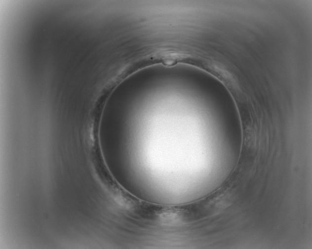 X0000069840358200605261913