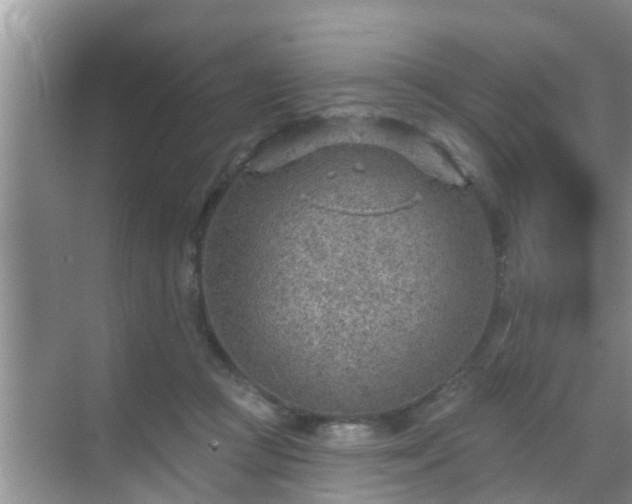 X0000069840361200605261913