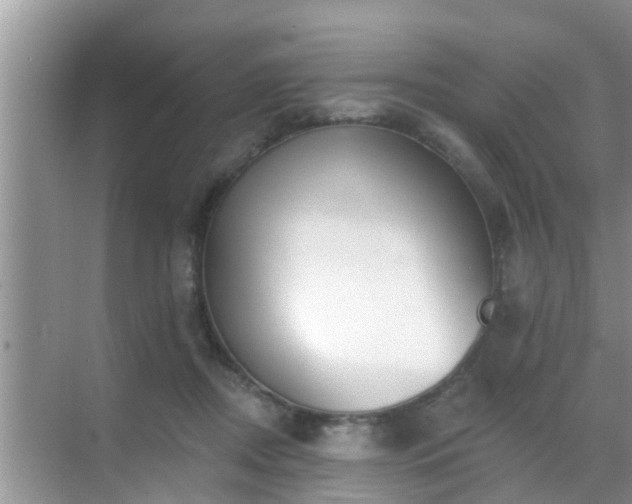 X0000069840362200605261913