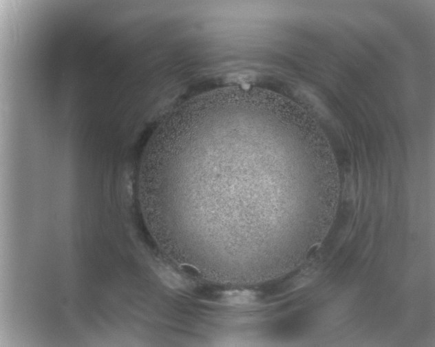 X0000069840363200605261913