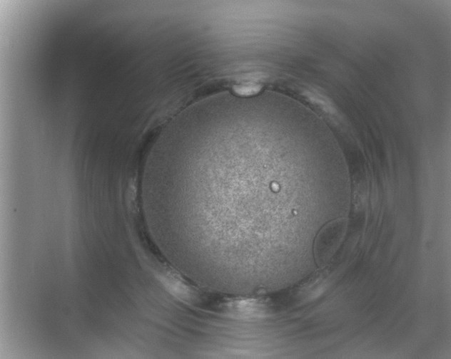 X0000069840365200605261913