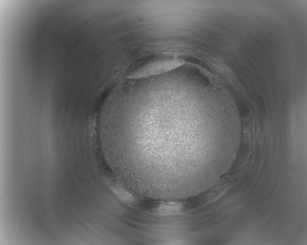 X0000069840369200605261913