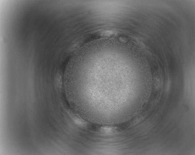 X0000069840375200605261913