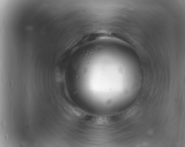 X0000069840384200605261913