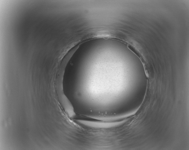 X0000069840385200605261912