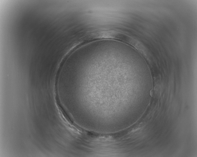 X0000069840386200605261912