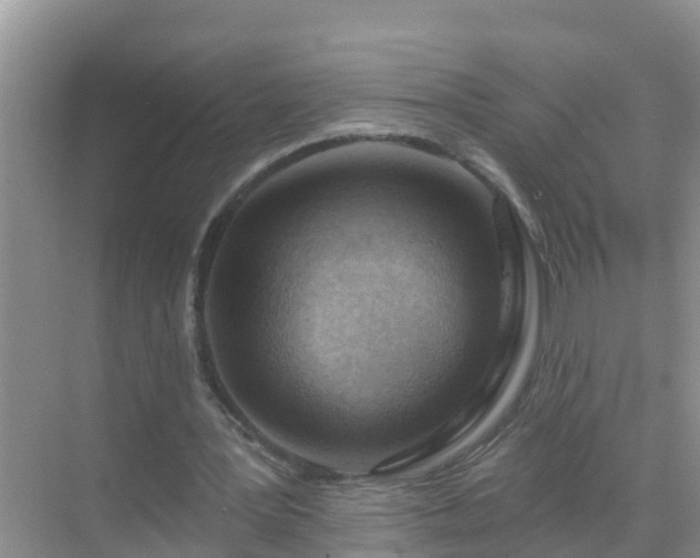 X0000069840387200605261912